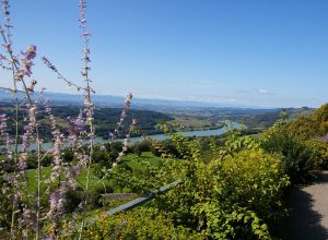 Donau Niederösterreich / Klaus Engelmayer